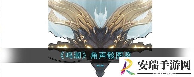 鸣潮角声骸怎么样