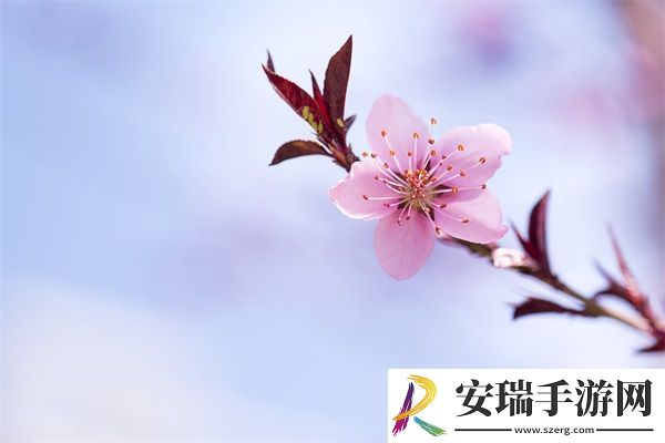 青青河边草高清免费版新闻