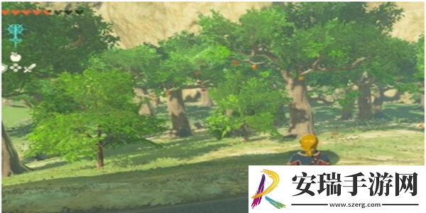塞尔达传说王国之泪金苹果有什么用