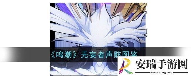 鸣潮无妄者声骸怎么样