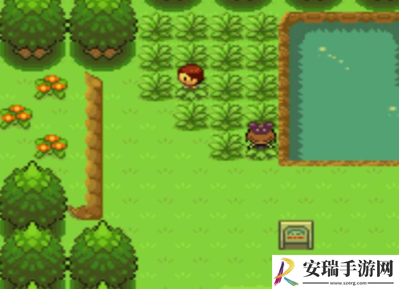 口袋妖怪努力值如何刷