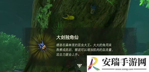 塞尔达传说王国之泪大剑螃蟹怎么获取