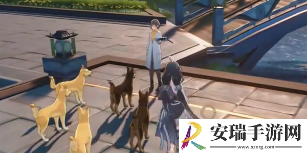 鸣潮倾听动物之声犬语翻译任务攻略