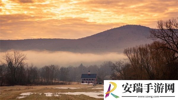 成品网站源码1688免费推荐