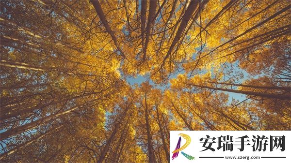 日产无人区未来发展前景