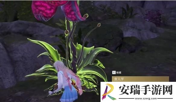 永劫无间手游龙隐洞天食人芋位置攻略
