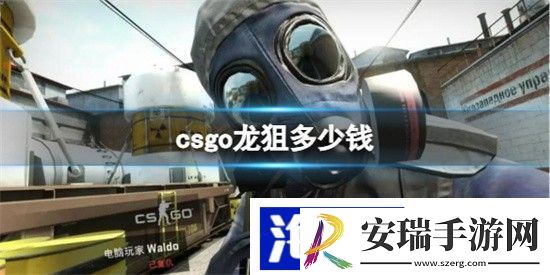 CSGO2023最新龙狙价格介绍