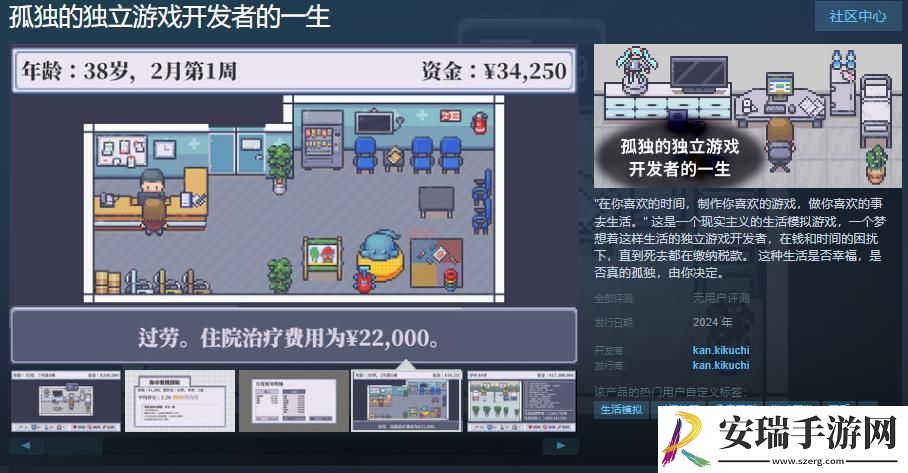 孤独的独立游戏开发者的一生Steam页面
