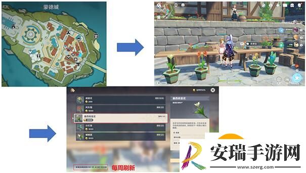 原神塞西莉亚花采集路线
