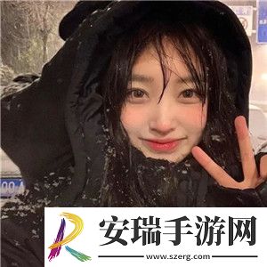 欧美VPSWINDOWS极品