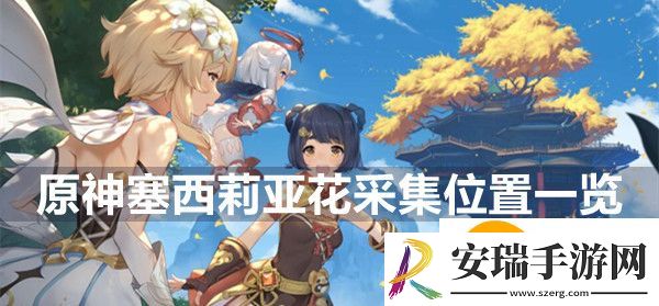 原神塞西莉亚花采集路线