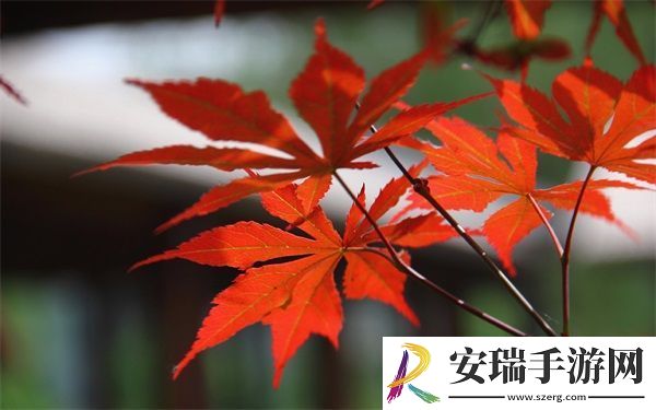 办公室可不可以干湿你电视