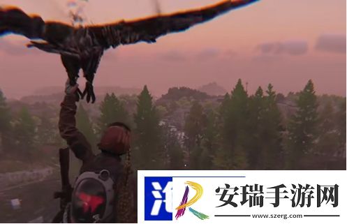 七日世界滑翔飞行方法一览