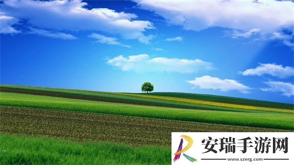 九幺免费版网站NBAOFFICE68
