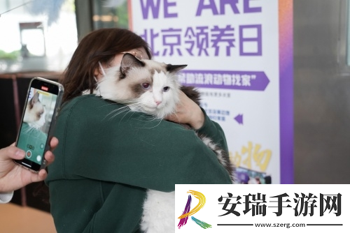 猫咪和汤×北京领养日×小米食堂