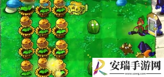 植物大战僵尸杂交版迷你游戏植物僵尸怎么过关