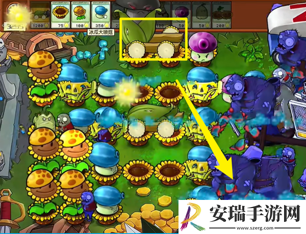 植物大战僵尸杂交版毁灭加农炮3怎么通关