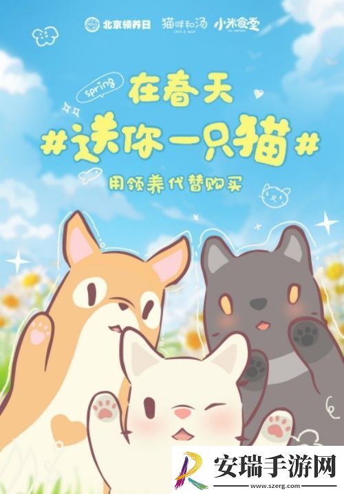 猫咪和汤×北京领养日×小米食堂