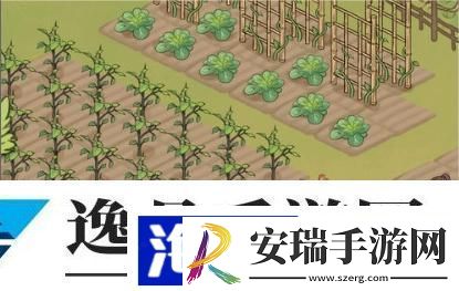 仙山小农怎么玩