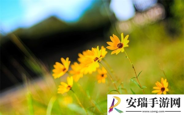 蜜汁肉桃