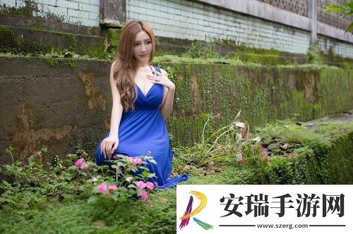 成免费crm大全