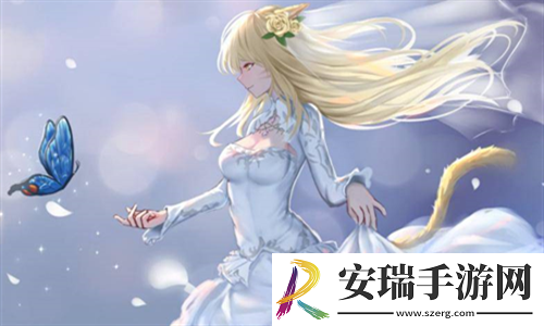 无人一区二区区别是什么