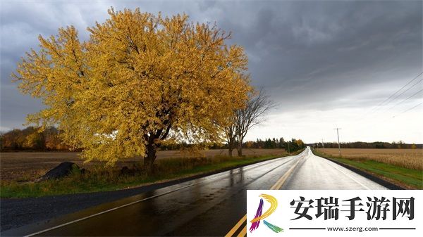 追她1v4小声点