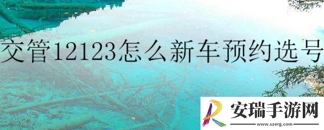 交管12123新车预约选号如何操作