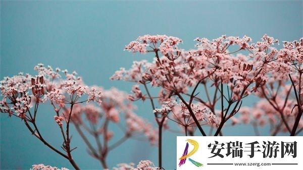 今日吃瓜51CG热门大瓜首页