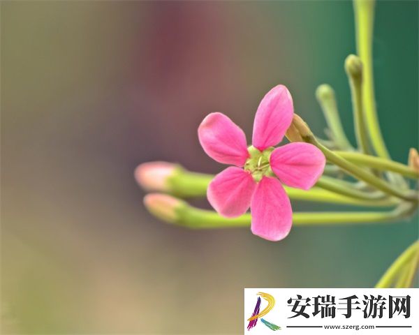 姬小满裸妆妆前乳发呆
