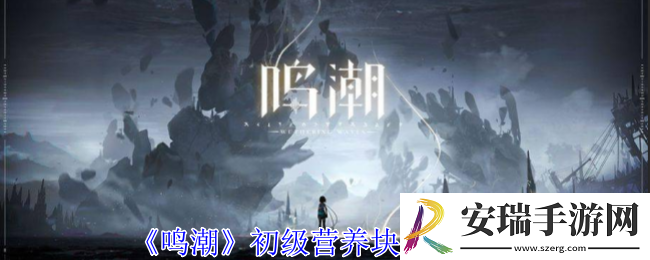 鸣潮初级营养块怎么获得