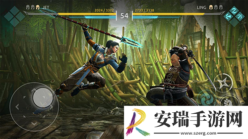 暗影格斗4(Shadow截图