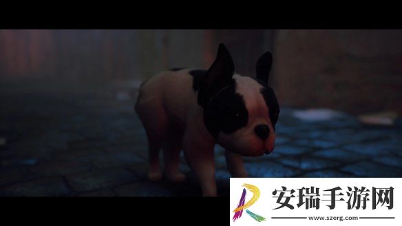 猫咪变狗狗