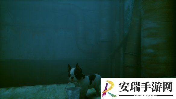 猫咪变狗狗