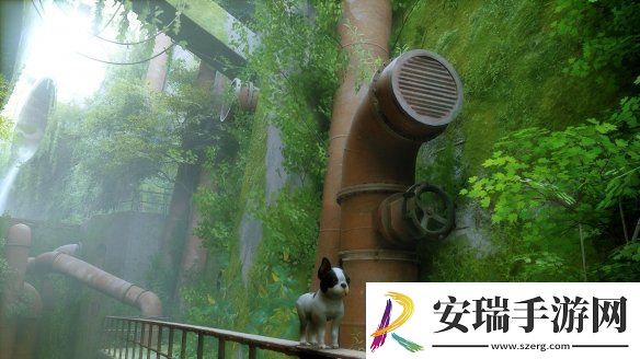 猫咪变狗狗