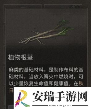 明日之后根茎植物怎么获取