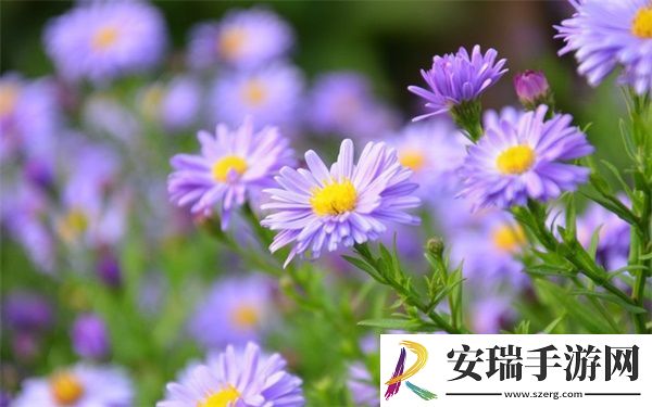 超级凌乱的校园运动会有弹窗