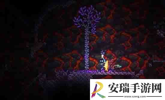 泰拉瑞亚龙虾在哪