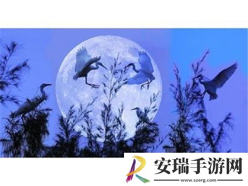 每个世界都被强制爆炒
