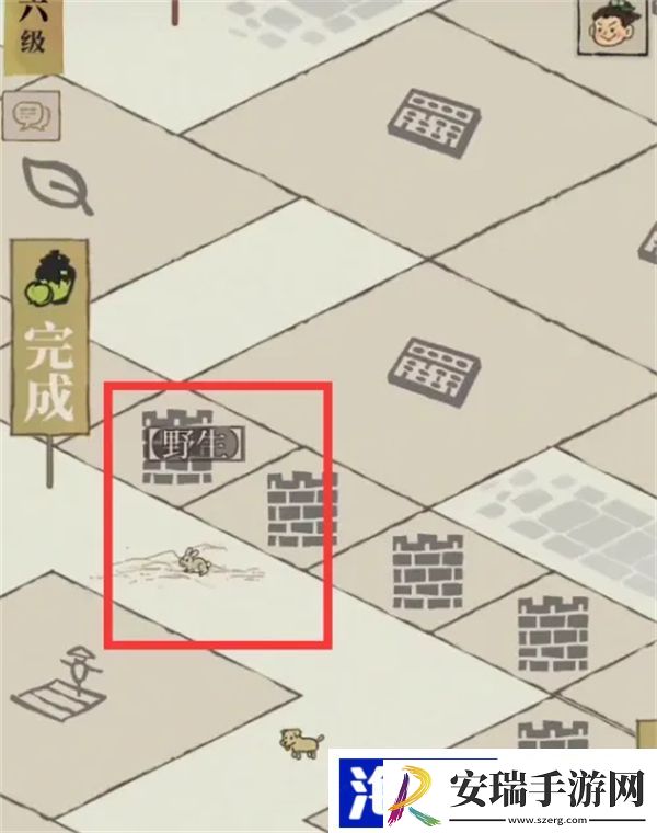投食槽的动物在哪里抓