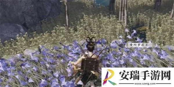 燕云十六声纸人夭奇遇怎么完成