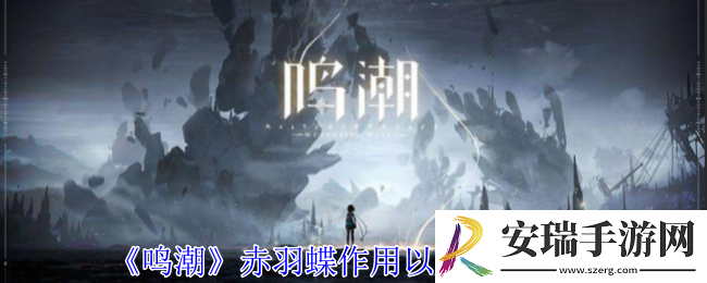 鸣潮赤羽蝶有什么用