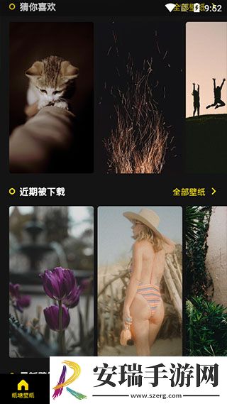 纸塘壁纸高清壁纸手机版截图