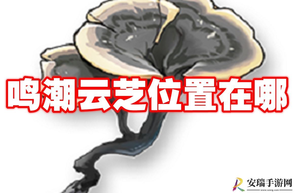 鸣潮云芝位置在哪