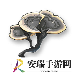 鸣潮云芝位置在哪