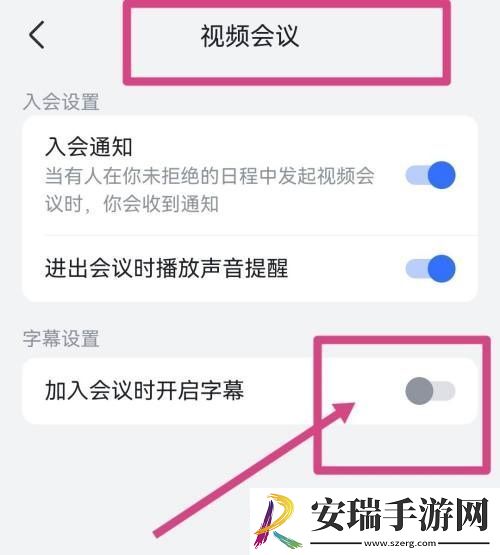 飞书在哪开启视频会议字幕
