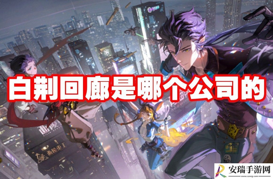 白荆回廊开发商介绍