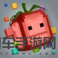 敏捷挑战大师