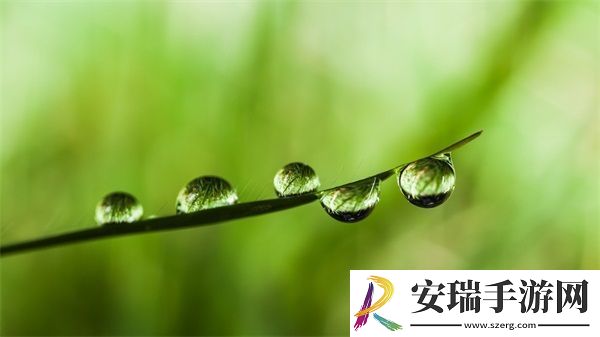 成品视频CRM