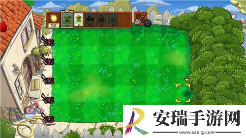 阴阳师